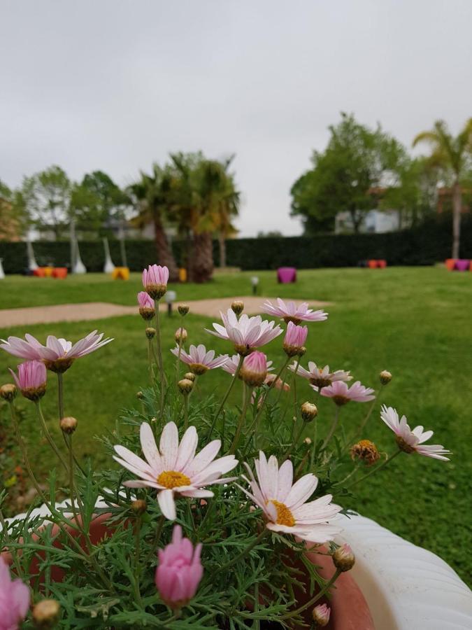 ホテル I Giardini Del Novecento ラメーツィア・テルメ エクステリア 写真